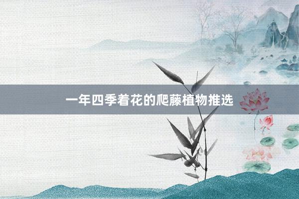 一年四季着花的爬藤植物推选