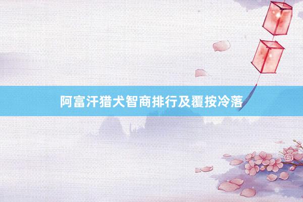 阿富汗猎犬智商排行及覆按冷落